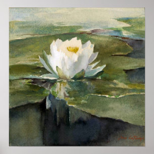 Póster La Farge - Lirio De Agua En Luz Solar