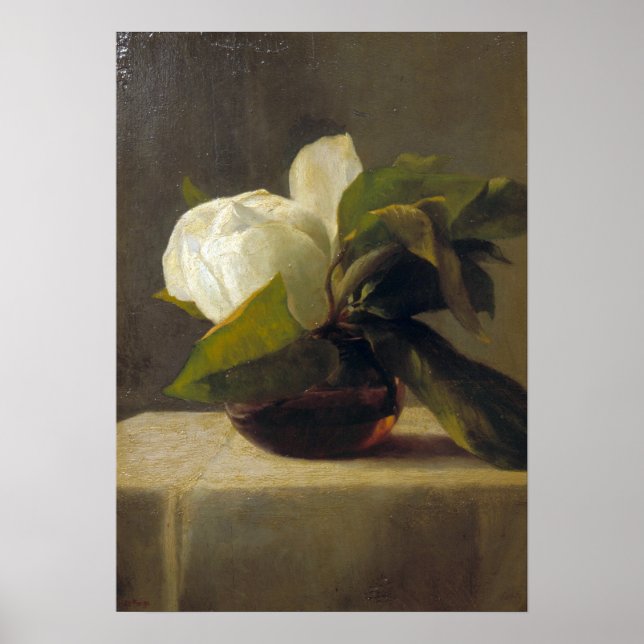 Póster La Farge - Magnolia (Frente)