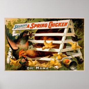 Póster La farsa divertida de Selden, un juego del pollo