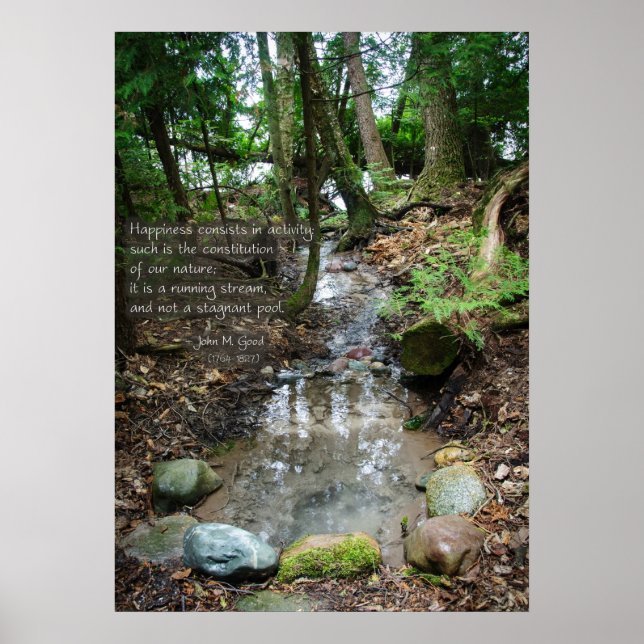 Póster La felicidad consiste en la actividad (Frente)