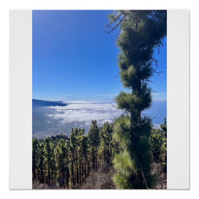 Póster La felicidad de Tenerife. (Anverso)