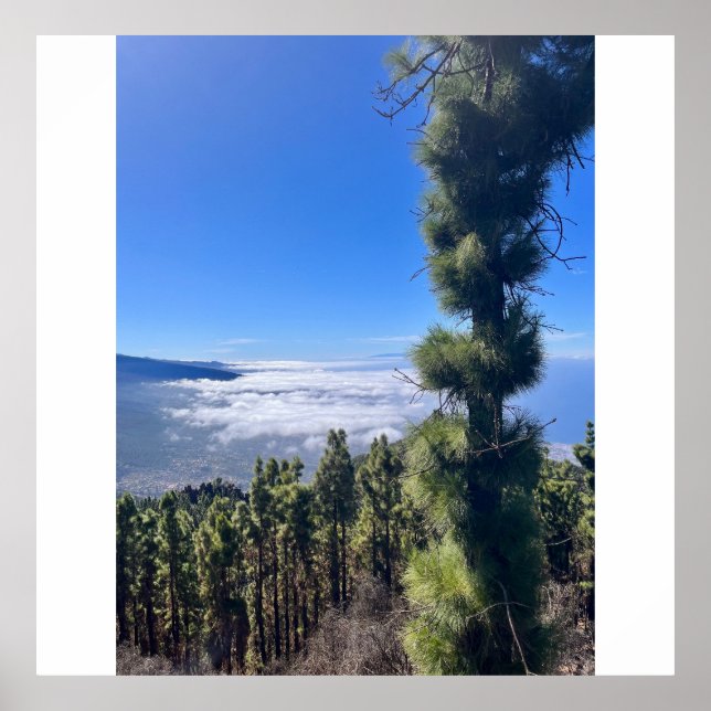 Póster La felicidad de Tenerife. (Frente)