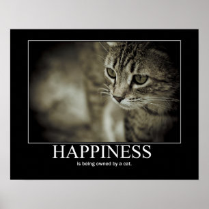 Póster La felicidad está siendo poseída por un gato