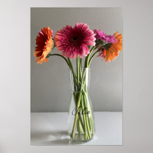 Póster La feliz flor de color Gerbera + nombre personaliz
