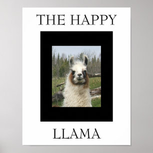 PÓSTER LA FELIZ LLAMA