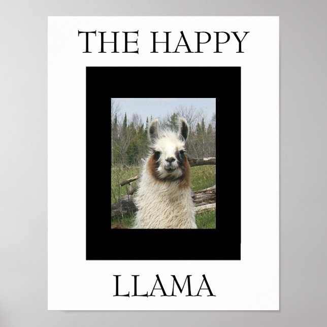 PÓSTER LA FELIZ LLAMA (Frente)