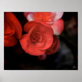 Póster La Fleur Rouge [Art Print]