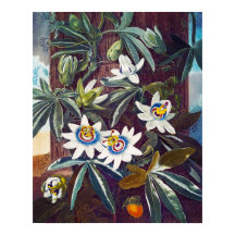 La flor azul de la pasión