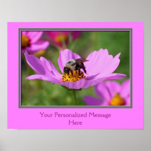 Póster La Flor De Cosmos Rosa Crea Tu Propia