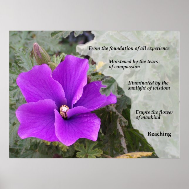 Póster La flor de la humanidad (Frente)