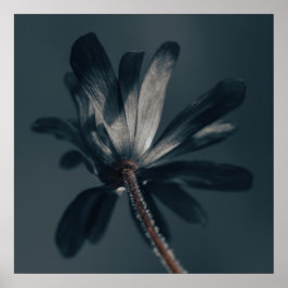 Póster La Flor Deliciosamente Oscura