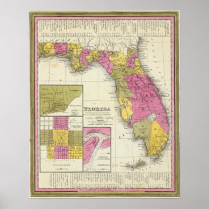 Póster La Florida 7