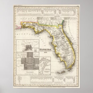 Póster La Florida 8