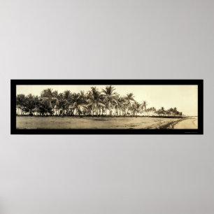 Póster La Florida cierra la foto 1912 de la pesca