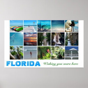 Póster La Florida que le deseaba estaba aquí collag del