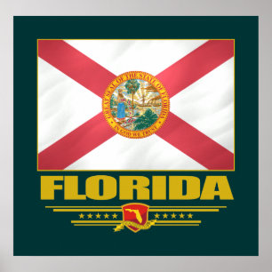 Póster La Florida (SP)