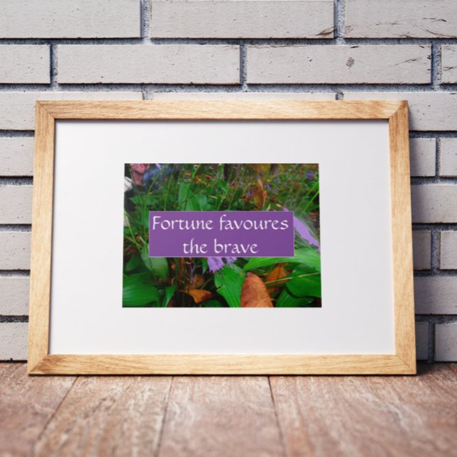 Póster La fortuna de Proverb favorece al valiente poster (Subido por el creador)