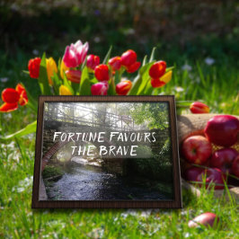 Póster La fortuna favorece al valiente poster del puente