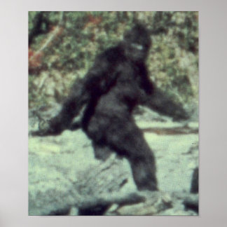 PÓSTER LA FOTO ORIGINAL DE 1967 BIGFOOT SASQUATCH