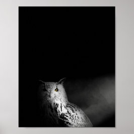 Póster La fotografía de búho, blanco y negro