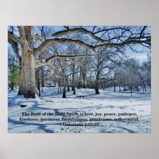 PÓSTER LA FRUTA DEL ESPÍRITU