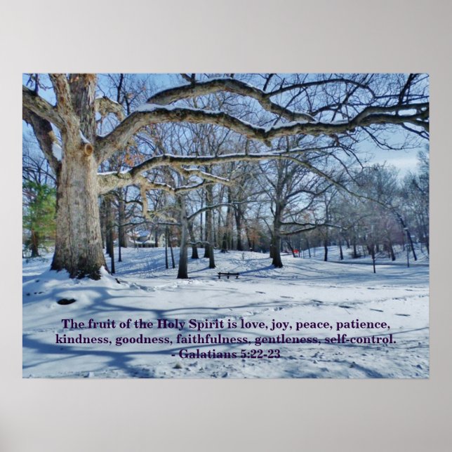 PÓSTER LA FRUTA DEL ESPÍRITU (Frente)