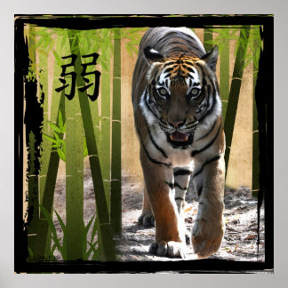 Póster La fuerza del cristianismo