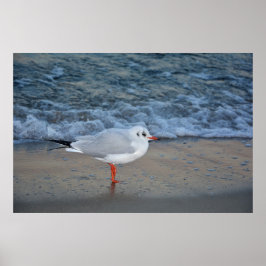 Póster La gaviota a la playa