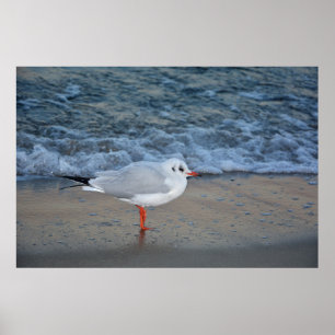Póster La gaviota a la playa