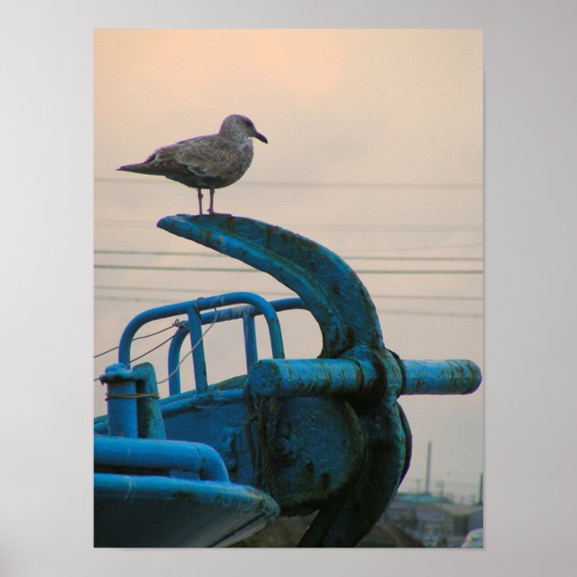 Póster La Gaviota Descansa En El Ancla Del Buque | Choshi (Frente)
