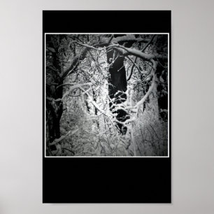 Póster la glorieta de la reina de la nieve