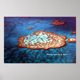 Póster La gran barrera de coral