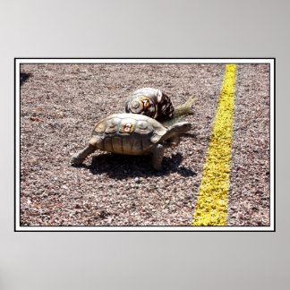 Póster La gran carrera de tortugas y caracoles