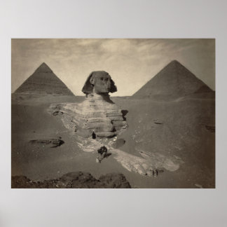 Póster La gran esfinge de Giza, Egipto - Poster