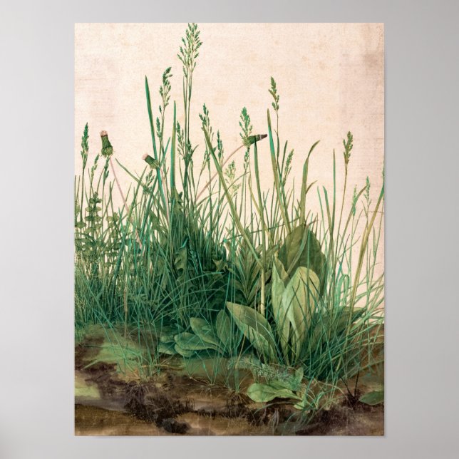 Póster La gran pieza de Turf, 1503 de Albrecht Durer (Frente)