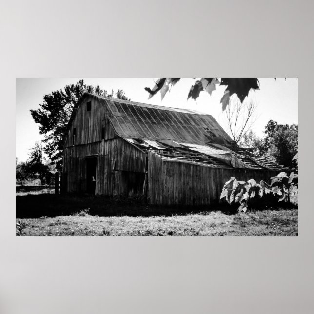 Póster La granja (Frente)