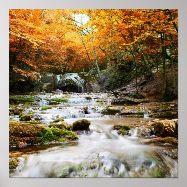 Póster La hermosa cascada en el bosque, otoño (Frente)