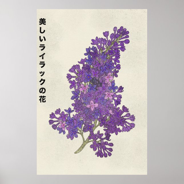 Póster La hermosa flor de lila (Frente)
