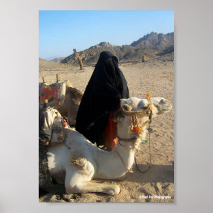 Póster La Hija del Desierto