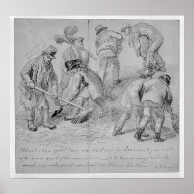 Póster La introducción de escobas de caña fraccionadas (Frente)