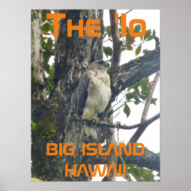 Póster LA 'Io GRAN ISLA HAWAII (Frente)