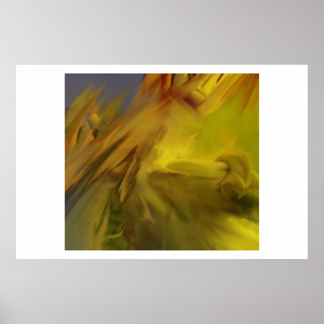 Póster La ira de 2001 (Frente)