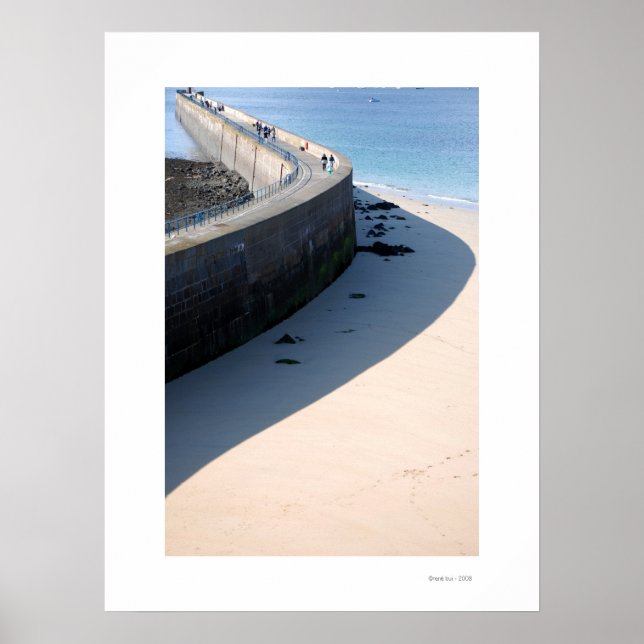 Póster LA JETEE Poster (Frente)