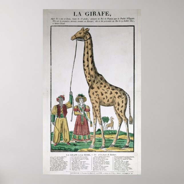 Póster La jirafa presentada al rey desde Pasha de (Frente)