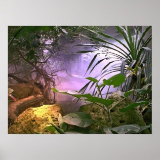 Póster La jungla