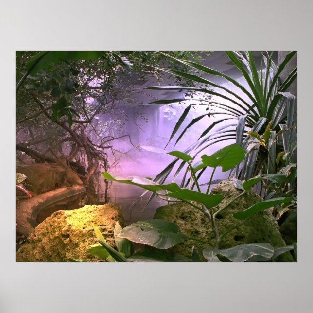 Póster La jungla (Frente)