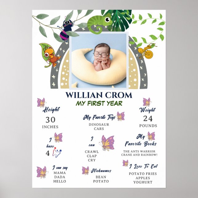 Póster La jungla sobre el arcoiris Poster de primer año (Frente)