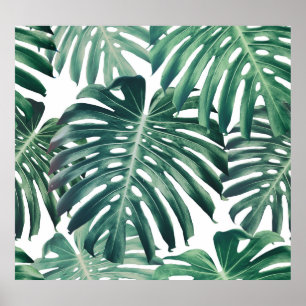 Póster La jungla tropical deja el fondo floral
