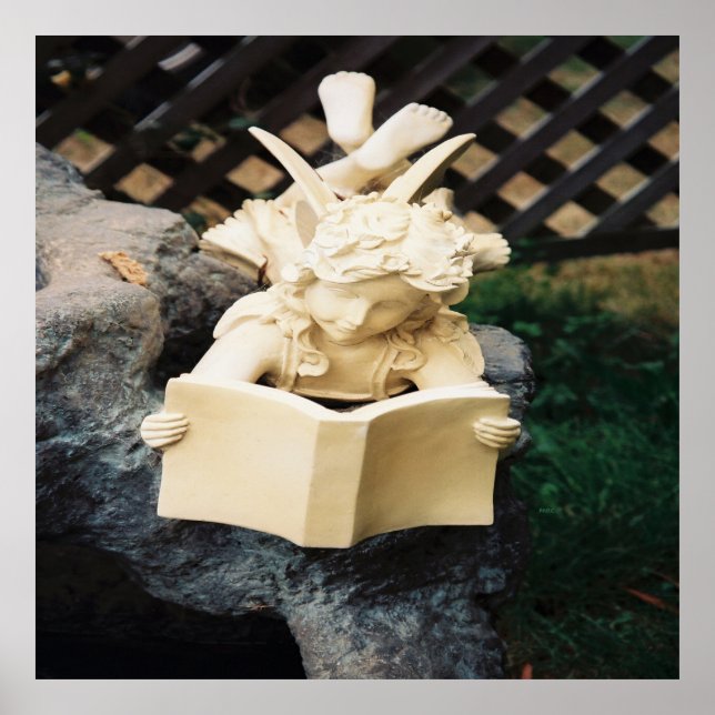 Póster La lectura de Faerie en un estanque de Koi........ (Frente)