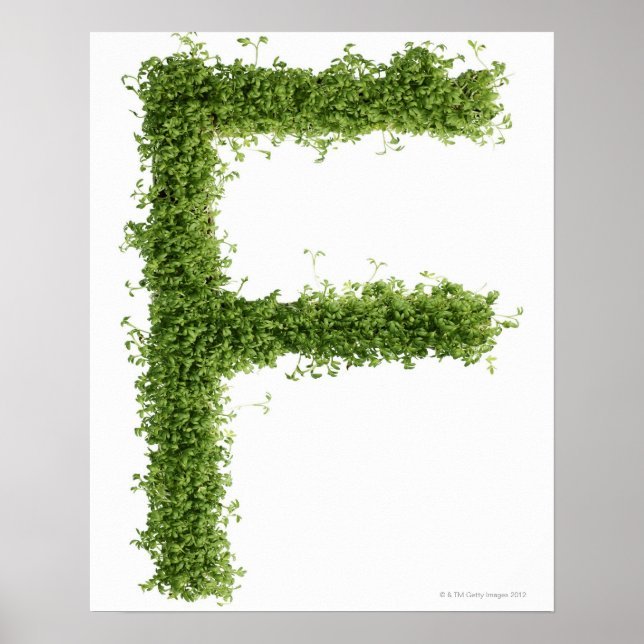 Póster la letra "F" sobre fondo blanco, (Frente)